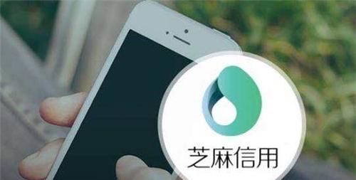 支付宝信用分最高能达多少分,支付宝信用700分借钱图8