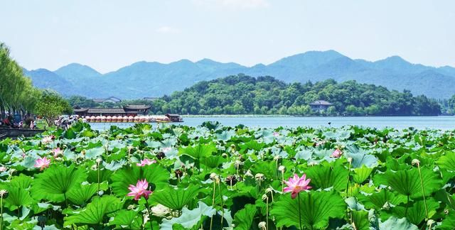 老年人去哪里旅游最便宜又好玩,老年人去哪里旅游最便宜图10