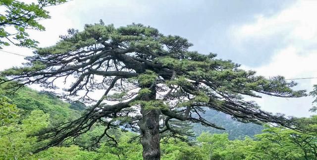 老年人去哪里旅游最便宜又好玩,老年人去哪里旅游最便宜图16