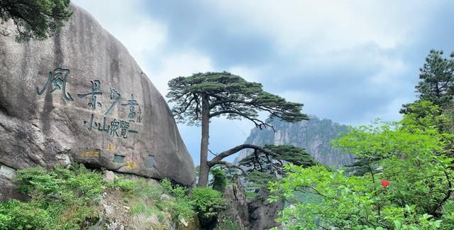 老年人去哪里旅游最便宜又好玩,老年人去哪里旅游最便宜图17