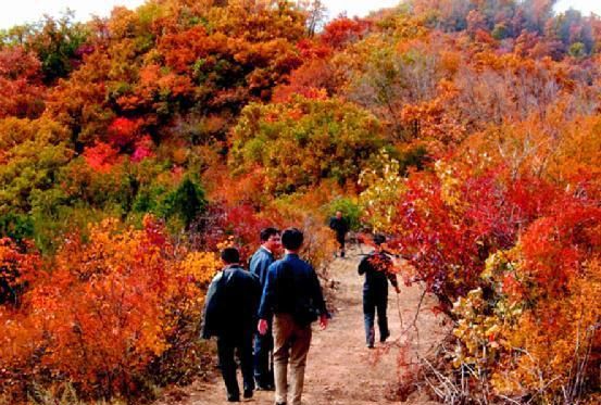 魅力大宁二郎山(大宁二郎山景区)图5