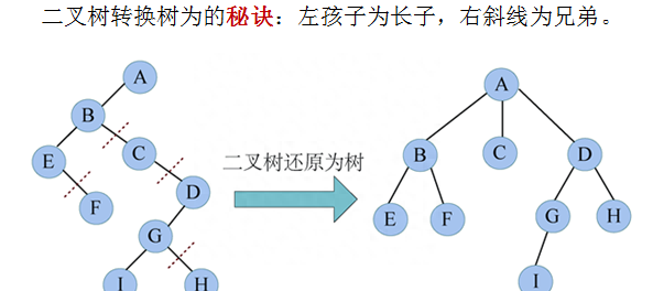 二叉树的在数据结构中的意义(数据结构与算法中的二叉树是什么)图6