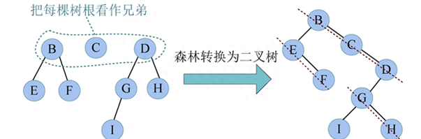 二叉树的在数据结构中的意义(数据结构与算法中的二叉树是什么)图7