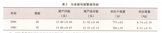 马身猪简介(八角猪简介)图4