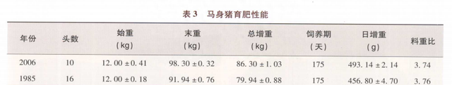 马身猪简介(八角猪简介)图5