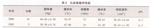 马身猪简介(八角猪简介)图6