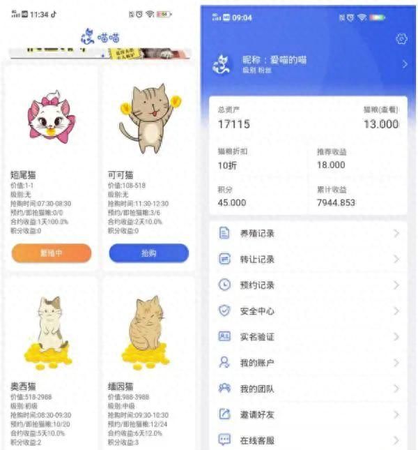 网上养猫血本无归,网上养猫骗得血本无归图3