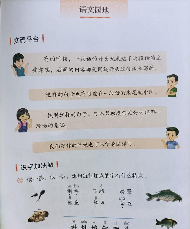 小学三年级所有的语文书给我看看图8