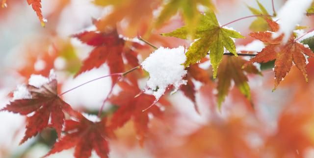 今天冬至天晴代表冬天冷还是暖,明天冬至是下雨好还是出太阳好图1