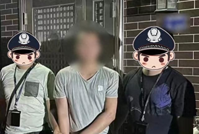 男子在家做饭突然看到警察来家(男子在家看监控竟发生了可怕的事)图2