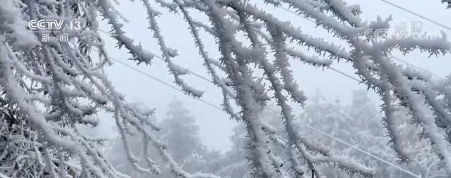 夜深知雪重,时闻折竹声,霜雪落满头,也算共白首图1