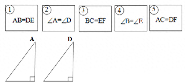 全等三角形中考几何(中考数学全等三角形的几何证明题)图7