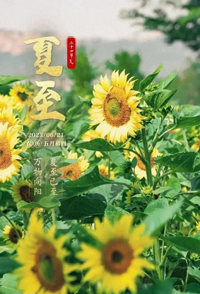 聊聊夏至节气,谈一谈夏至节气图4