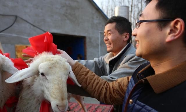 乡村振兴致富带头人是干什么的(什么叫乡村振兴致富带头人)图3