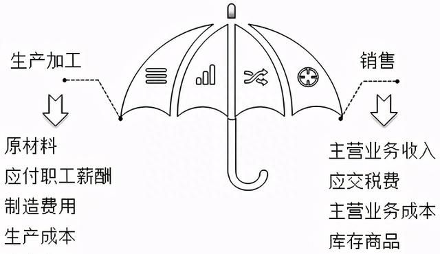 零基础会计入门基础知识图4