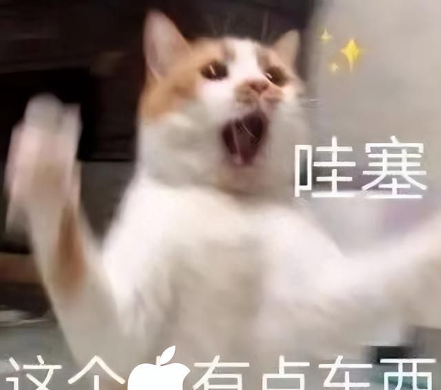 iphone 11微信推送延迟图8