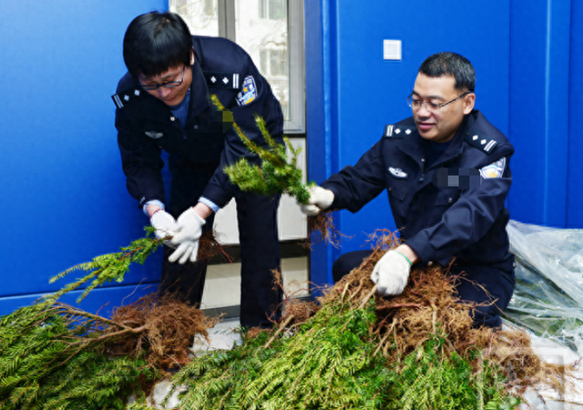 走私濒危物种量刑标准,涉走私濒危动物制品取保候审后面怎么判图13