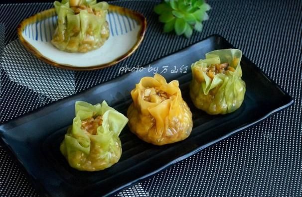 春天适合做菜团子的野菜(野菜菜团子怎么做好吃)图22