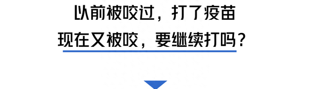 被流浪猫咬出血贴创可贴有用吗(被流浪猫狗咬伤后的急救方法)图8