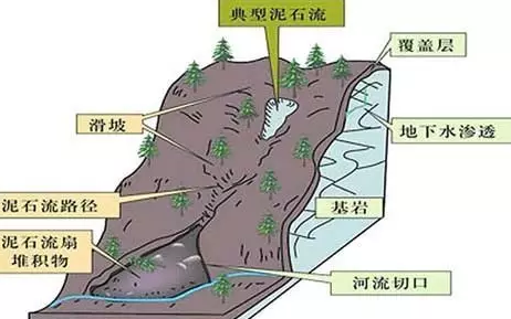 突遇泥石流的正确逃生方式