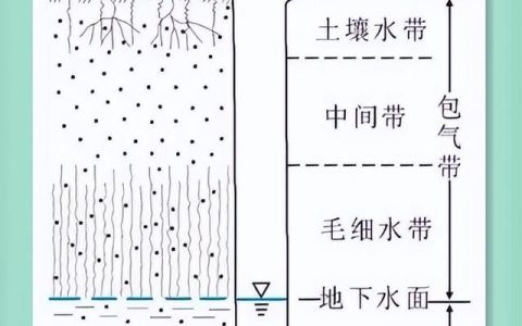 今天,我们聊聊地下水英语,地下水活动频繁