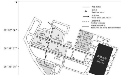 稻蟹共生养殖田防除杂草技术