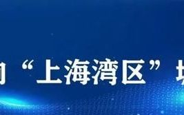 今日金山区核酸检测点