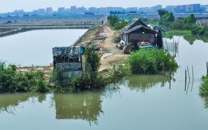 河蟹人工半咸水工业化育苗简介