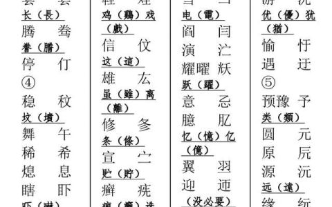 繁体字异体字二简字什么意思