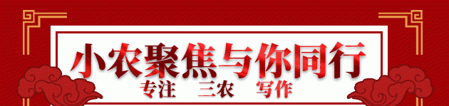 早熟马铃薯高产栽培技术(地膜马铃薯控旺高产技术)