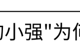 除蟑螂有效的方法,一招教你告别蟑螂