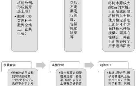 山区生态产业发展规划