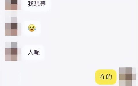 领养小猫后转手挂网上售卖(网上购买无偿领养小猫)