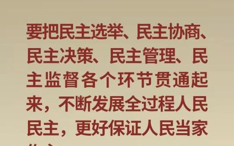 理解中国政治:关键词的方法