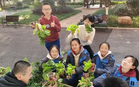 教育部要求！9月起，中小学生要学做饭，长沙老师家长纷纷点赞