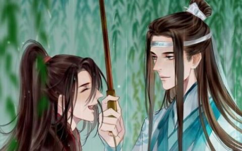 魔道祖师中蓝忘机和魏无羡