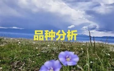 药材知识科普(全国药材三年最低是什么药材)