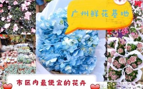 广州岭南花卉市场的花便宜吗(新的岭南花卉市场在哪里)