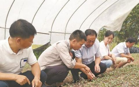 做给农民看 带着农民干——记张其安带领的省农科院蔬菜种质资源与遗传育种团队