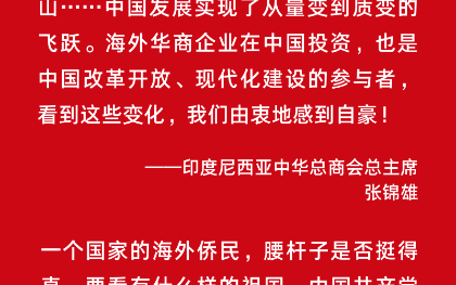 共同推动中华民族伟大复兴号巨轮扬帆远航——中共二十大报告引发海外中华儿女热烈反响