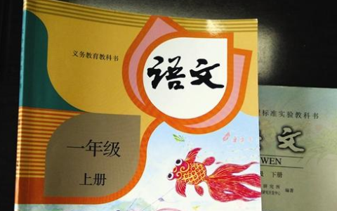 菏泽小学一年级语文的教材版本是什么