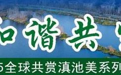 我与滇池的故事(滇池土著鱼的故事)