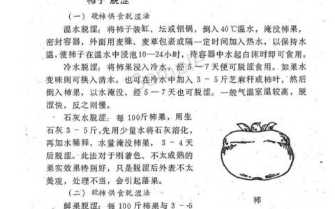 什么是糖渍制品,果糖渍