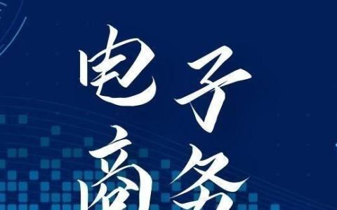 本科段《电子商务》课程复习资料(3)——案例题