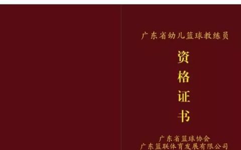 广东省幼儿篮球教练员资格证,初级篮球教练员培训报名