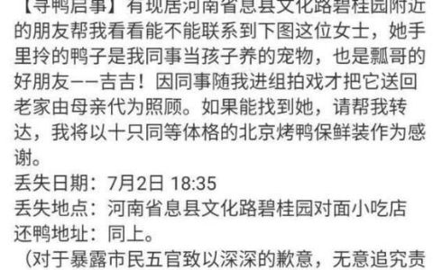 王珞丹寻鸭启事后续(王珞丹谈寻鸭启事)