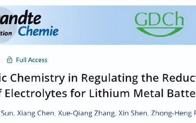 张强教授团队：分子和电子水平揭示阴离子在调控溶剂结构和稳定性