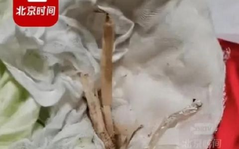 结婚12年才发现喜被里有葱点,结婚12年才发现被子里有葱