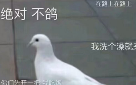 鸽子的反义词为什么是知更鸟