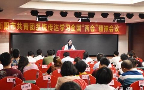 学习宣传贯彻全国两会精神 衡阳共青团系统在行动